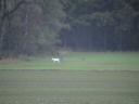 DSC00361.JPG