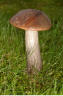 PIC_0089.jpg